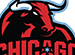 Chicago Bulls