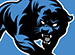 Carolina Panthers