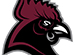 South Carolina Gamecocks Rebranded